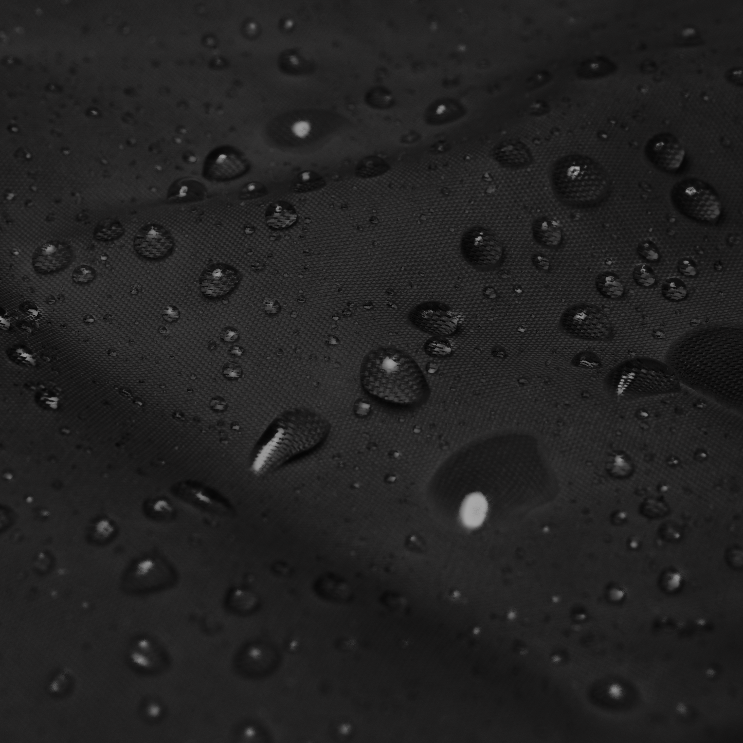 “Black Division” Windbreaker